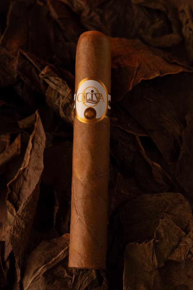 Connecticut Reserve Robusto