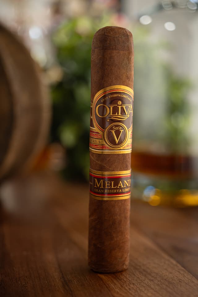 Serie V Melanio Robusto